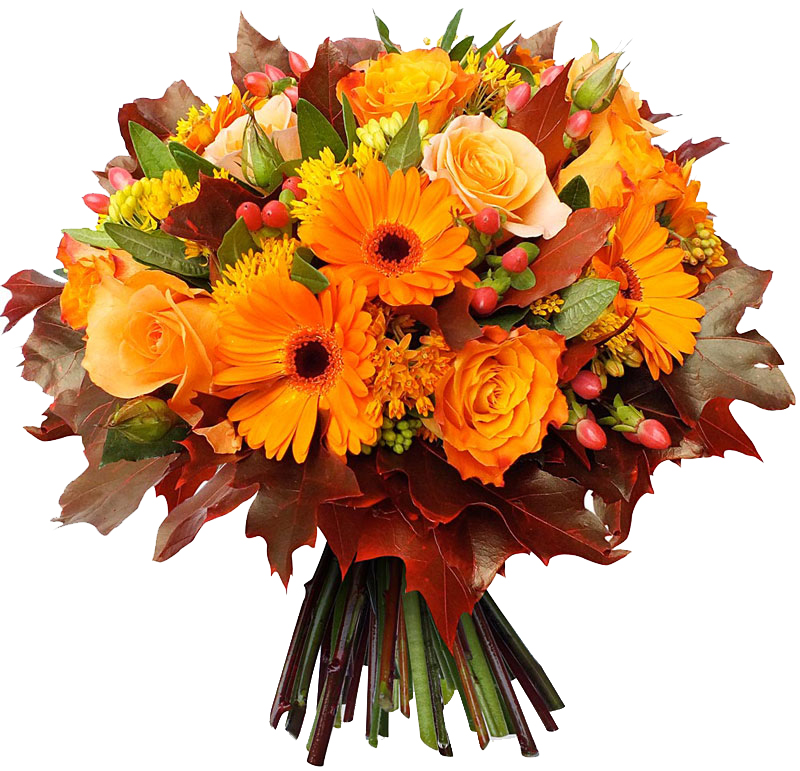  19 ноября - День преподавателя высшей школы!